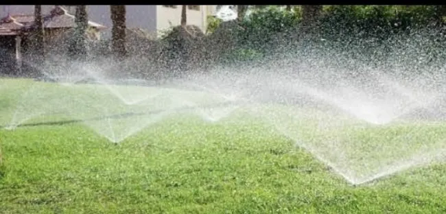 Top-rated landscape installation experts serving San José, CA - Landscape E1HLS