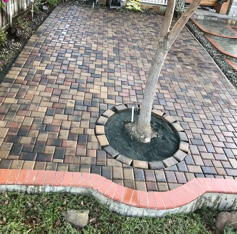 Trusted lawn care service for year-round maintenance in San José, CA by Landscape E1HLS