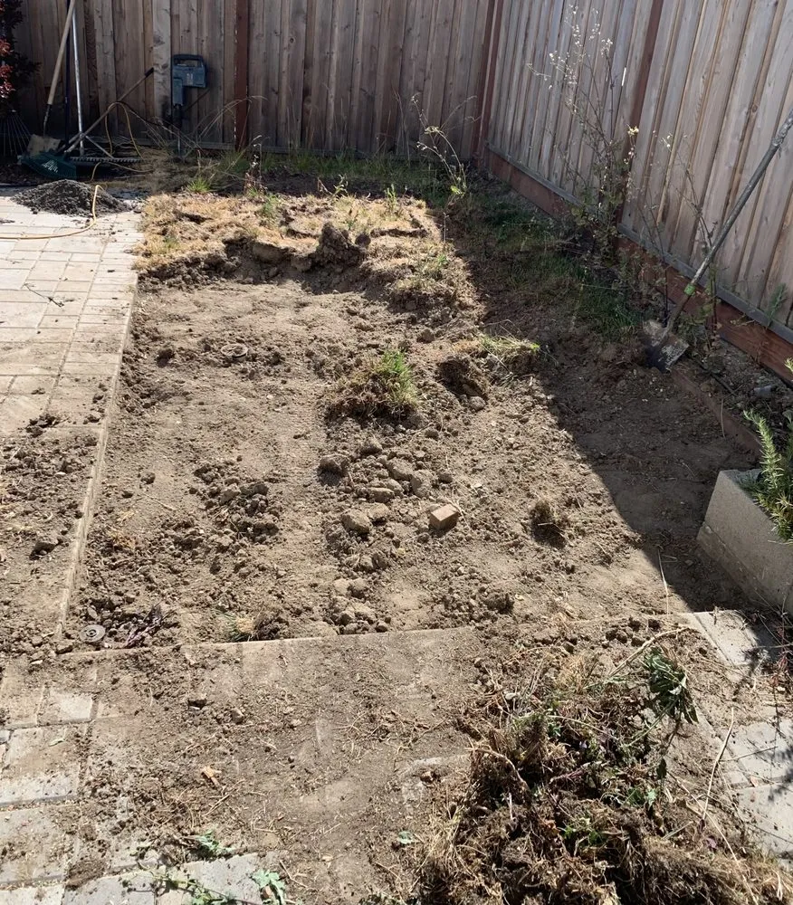 Local lawn mowing service experts serving San José, CA - Landscape E1HLS