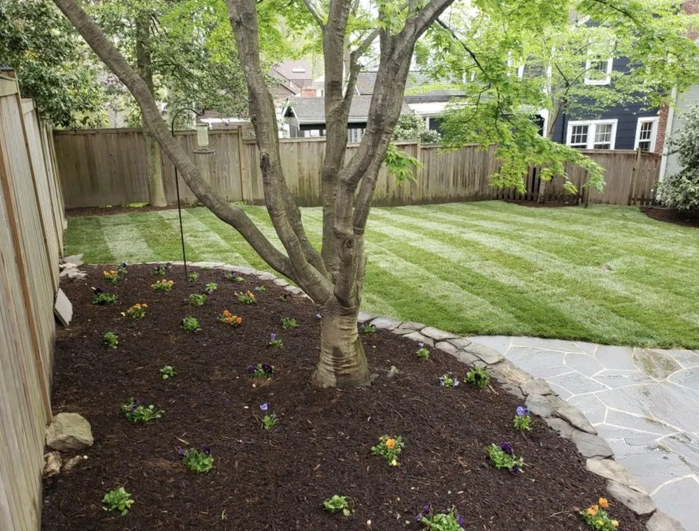 Trusted lawn mowing service in San José, CA - Landscape E1HLS