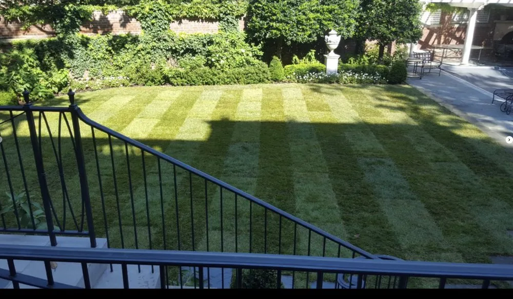 Professional yard cleanup service experts serving San José, CA - Landscape E1HLS