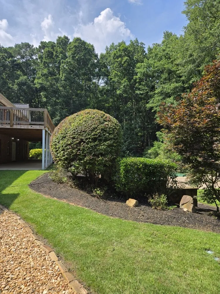 Local yard maintenance in Riverdale, GA - Landscape E&A