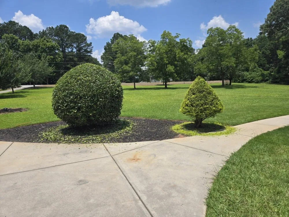 Top-rated landscaping services in Riverdale, GA by Landscape E&A