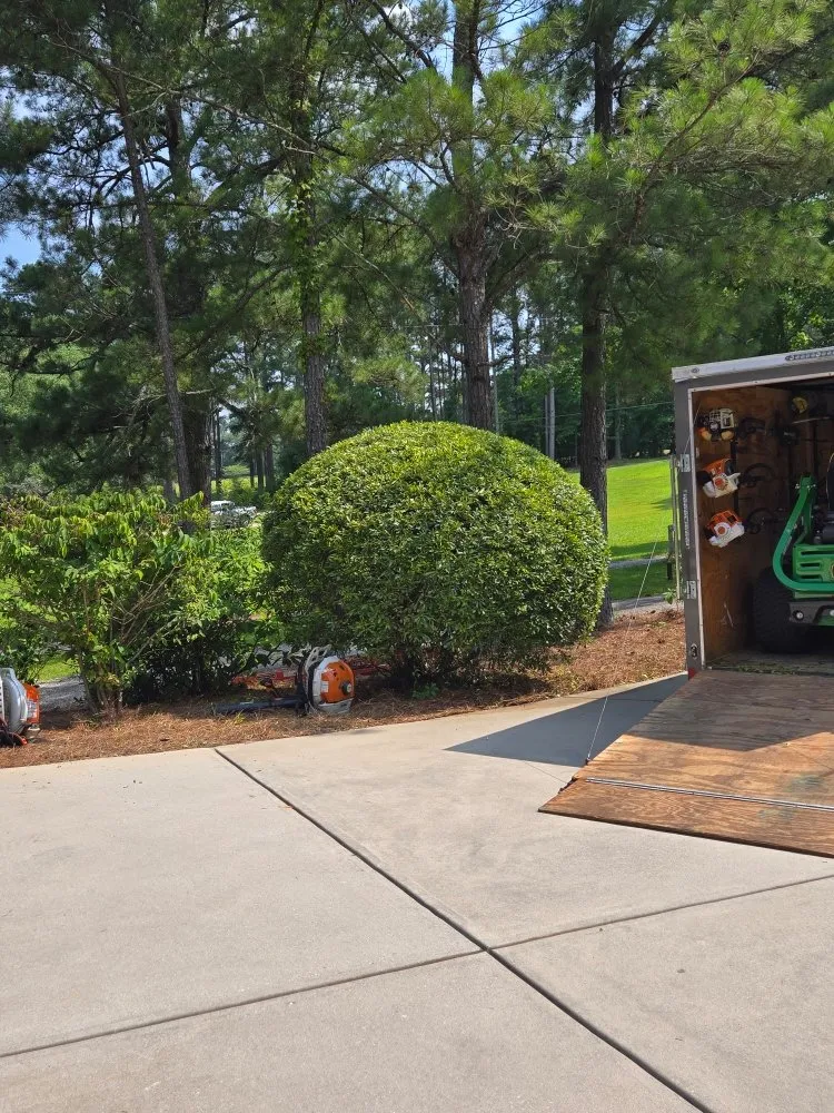 Local landscape installation for outdoor upgrades across Riverdale, GA - Landscape E&A