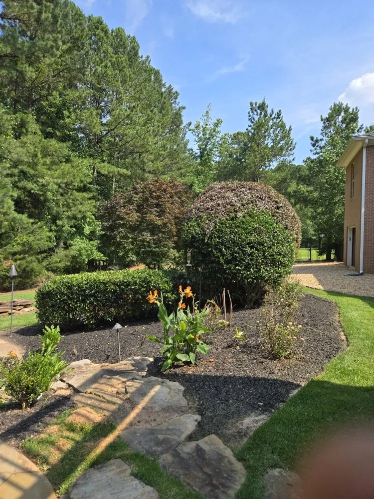 Reliable yard maintenance experts serving Riverdale, GA - Landscape E&A