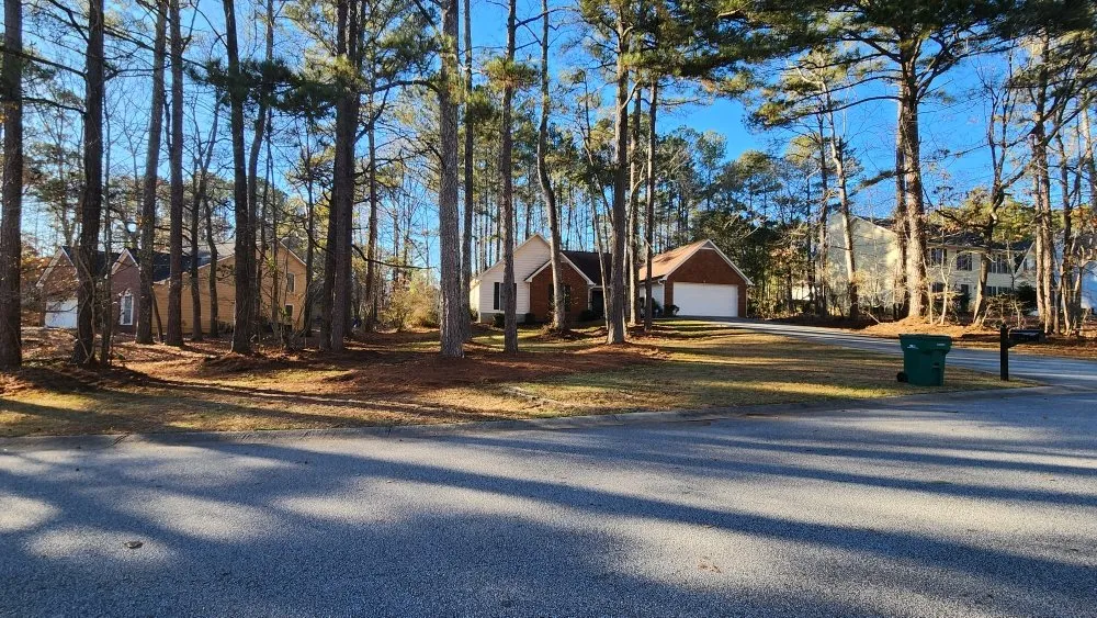 Expert yard maintenance experts serving Riverdale, GA - Landscape E&A