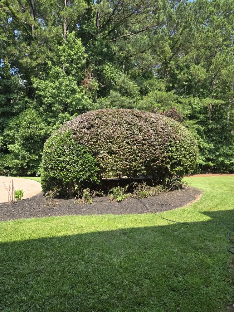 Professional landscape installation experts serving Riverdale, GA - Landscape E&A