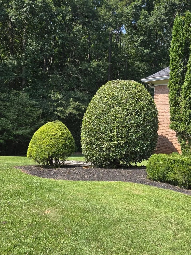 Trusted yard maintenance for outdoor upgrades in Riverdale, GA by Landscape E&A