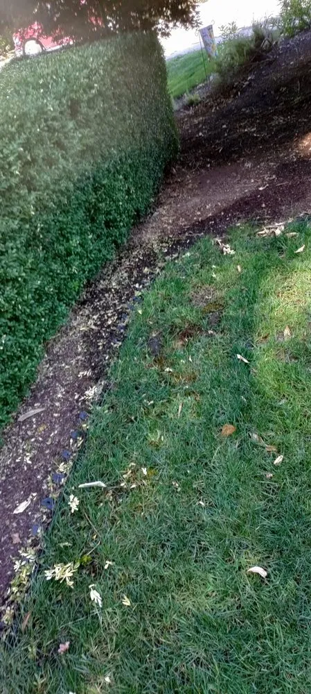 Expert lawn mowing service in Clackamas, OR by Landscape East & West