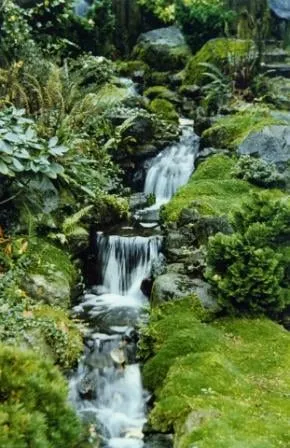 Custom garden landscaping for homes in Clackamas, OR by Landscape East & West