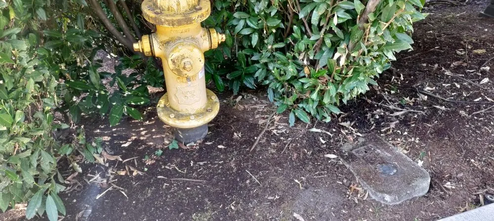 Custom yard cleanup service in Clackamas, OR - Landscape East & West