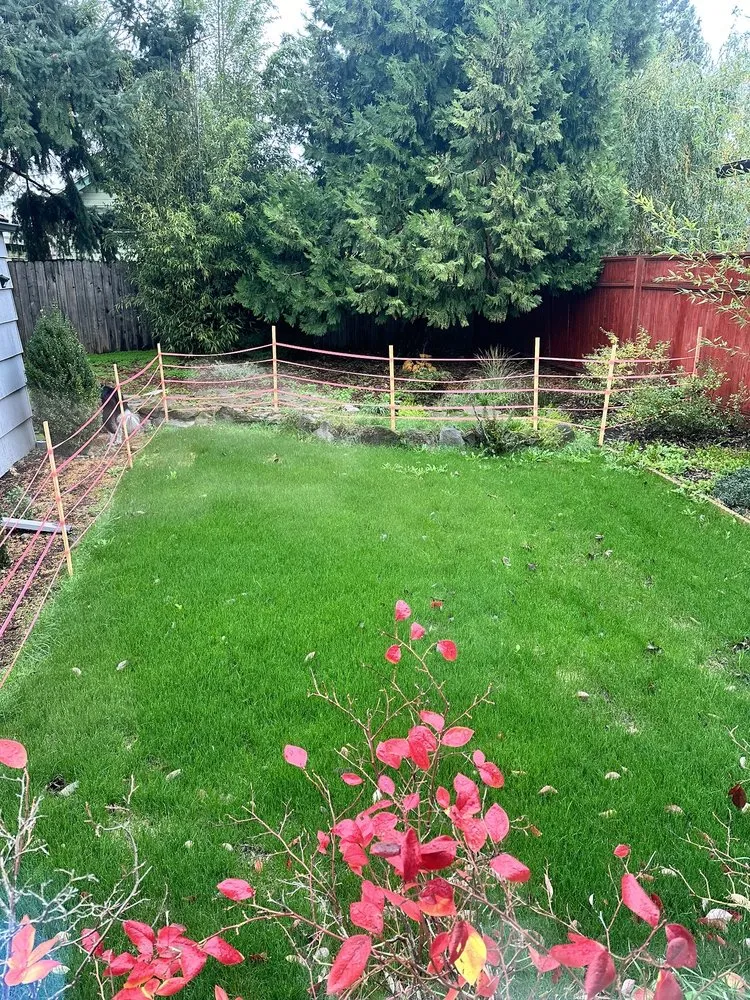 Affordable lawn care service in Clackamas, OR by Landscape East & West