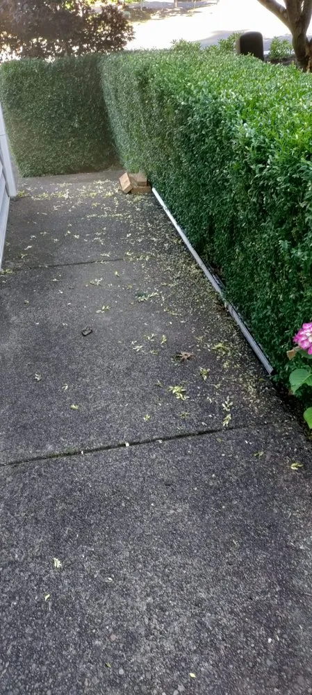 Top-rated outdoor landscaping in Hillsboro, OR by Landscape East & West