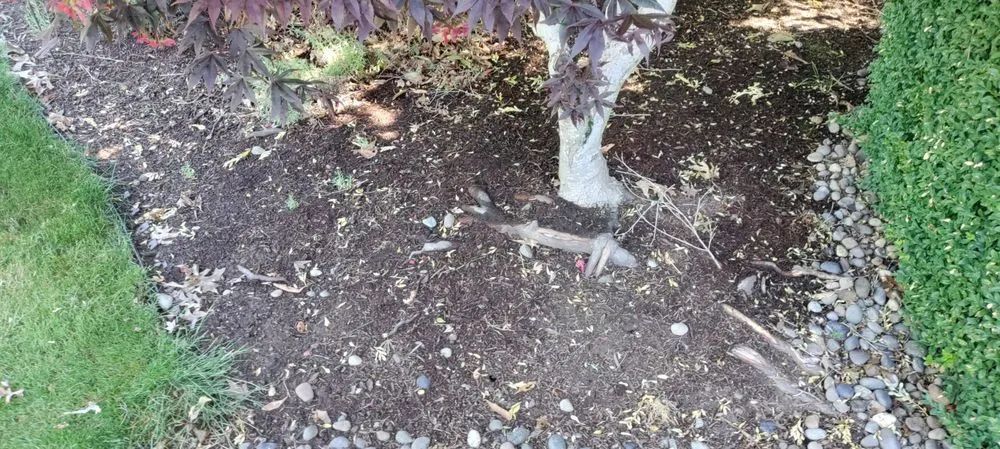 Professional landscape design experts serving Hillsboro, OR - Landscape East & West