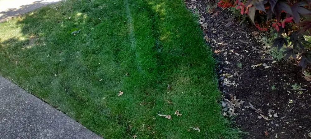 Top-rated yard maintenance in Hillsboro, OR by Landscape East & West