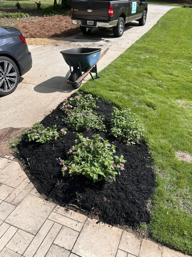 Top-rated outdoor landscaping for outdoor upgrades across Marietta, GA - Landscape East Cobb