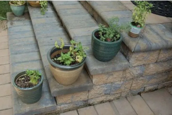 Expert yard cleanup service in Williamsburg, VA by Landscape Elements