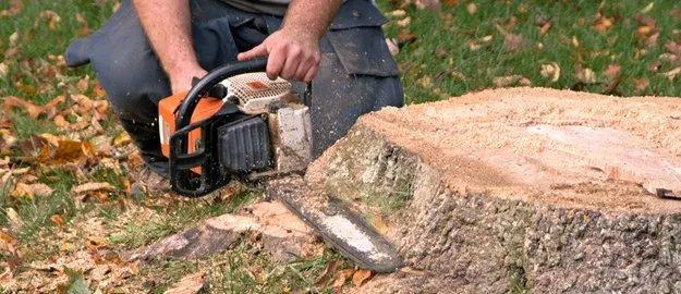 Trusted lawn mowing service experts serving Pasadena, CA - Landscape Engineering