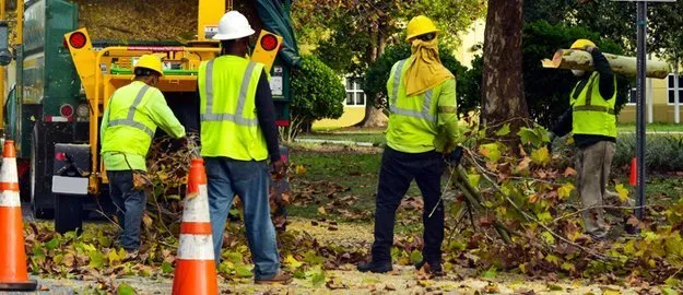 Affordable residential landscaping in Pasadena, CA - Landscape Engineering