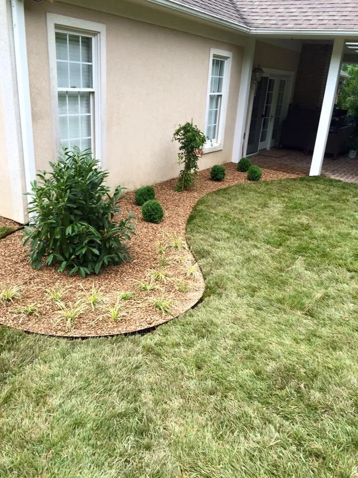 Trusted yard cleanup service in Salem, VA - Landscape Enterprise