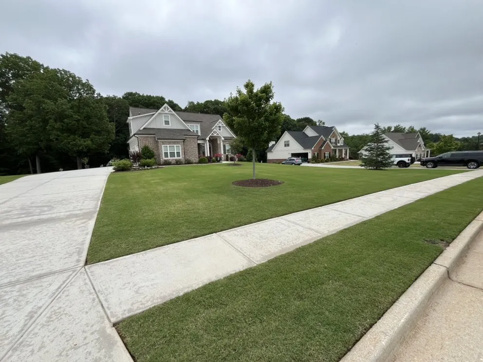 Custom landscape installation in Bogart, GA - Landscape Escape