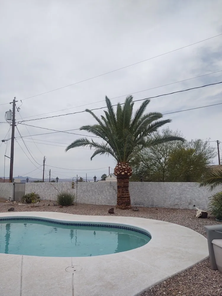 Professional yard cleanup service for outdoor upgrades in Lake Havasu City, AZ by Landscape Escape