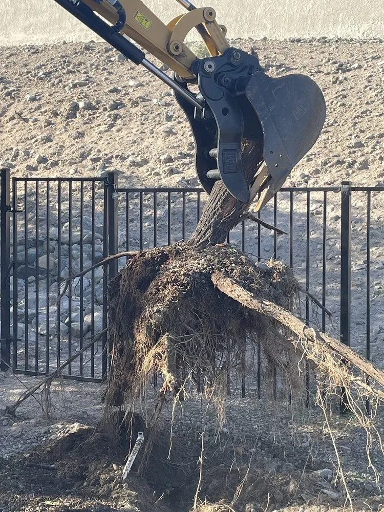 Local yard maintenance in Lake Havasu City, AZ by Landscape Escape