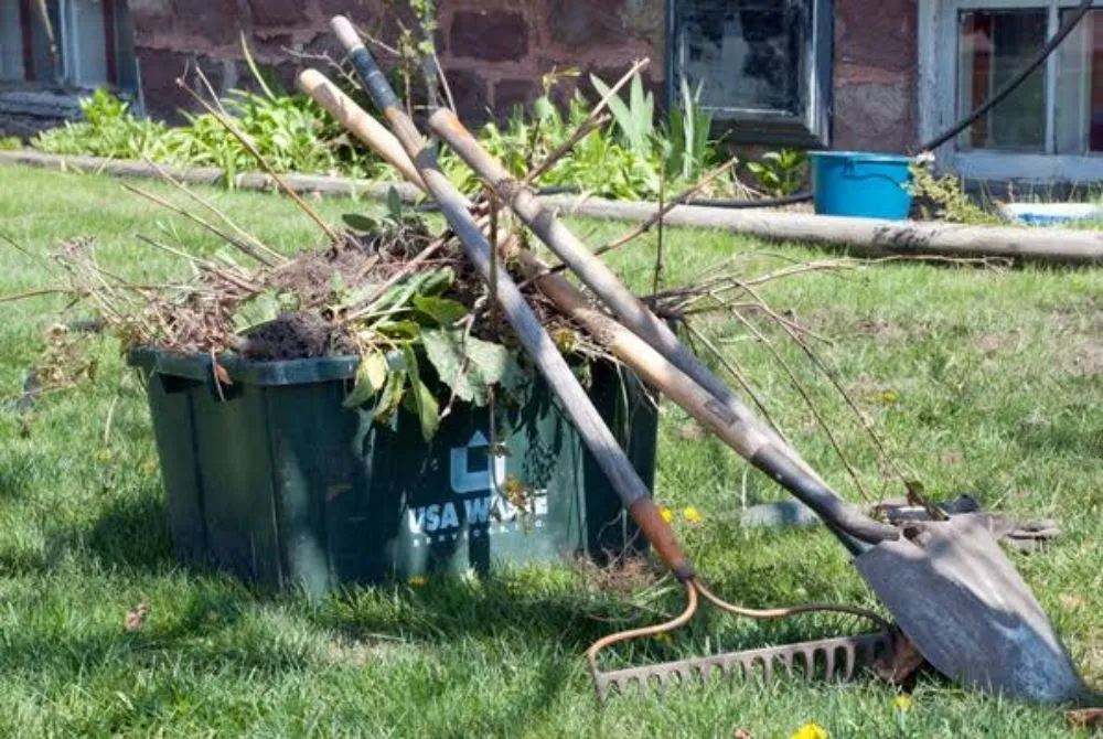 Affordable yard cleanup service in San Antonio, TX - Landscape Escape