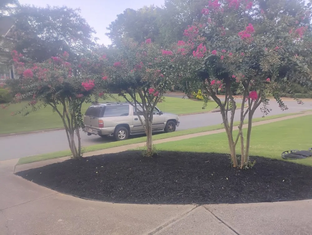 Trusted outdoor landscaping near you across Powder Springs, GA - Landscape Escobar