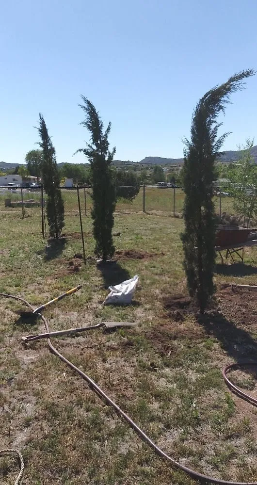 Expert lawn care service for outdoor upgrades across Chino Valley, AZ - Landscape Evolution