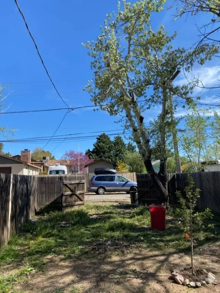 Local yard maintenance in Chino Valley, AZ - Landscape Evolution