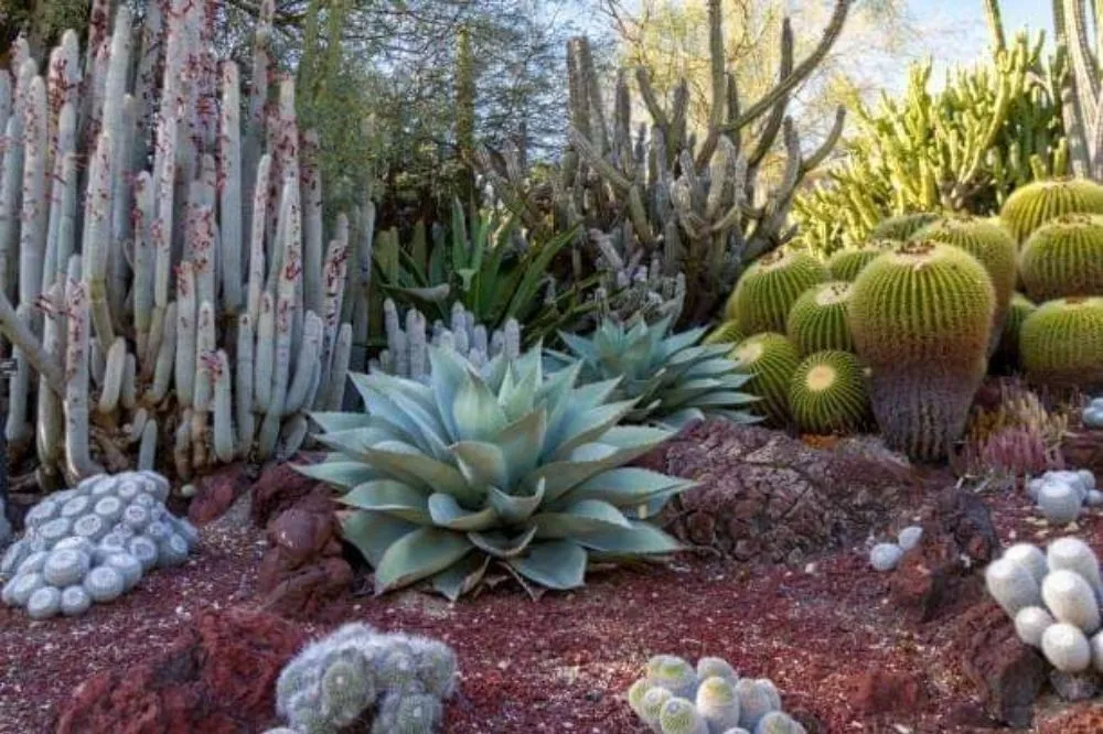 Reliable residential landscaping near you across Chino Valley, AZ - Landscape Evolution