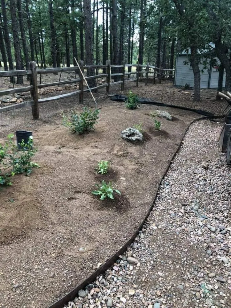 Top-rated landscape installation for residential properties across Chino Valley, AZ - Landscape Evolution