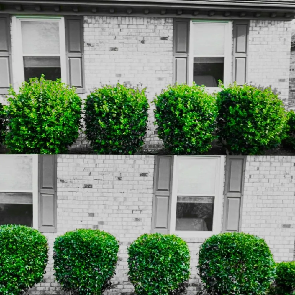 Affordable landscape installation experts serving Newport news, VA - Landscape Evolution