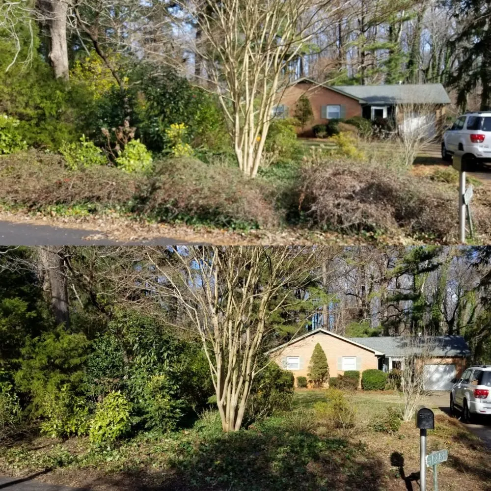 Trusted yard maintenance in Newport news, VA by Landscape Evolution