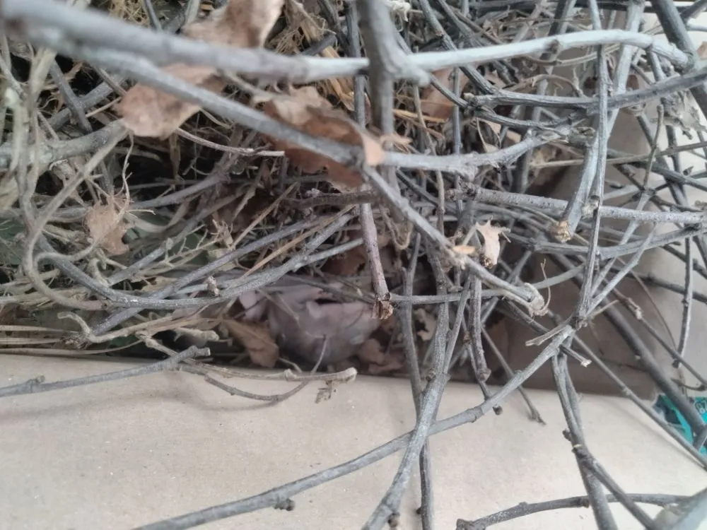 Trusted lawn care service in Newport news, VA - Landscape Evolution