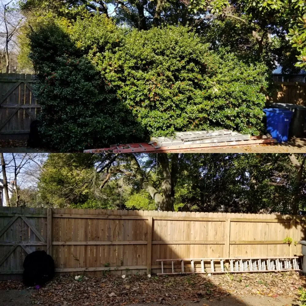 Local yard cleanup service with custom design in Newport news, VA by Landscape Evolution