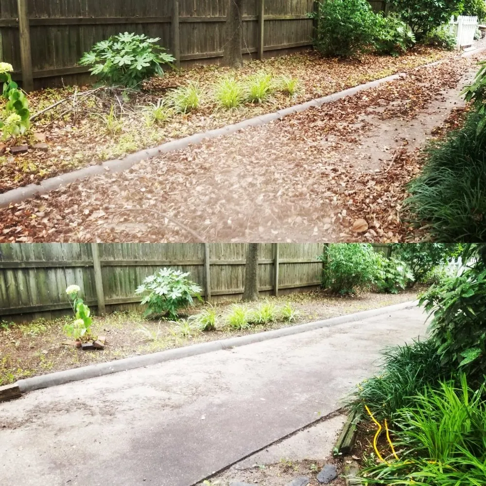 Trusted yard cleanup service in Newport news, VA by Landscape Evolution