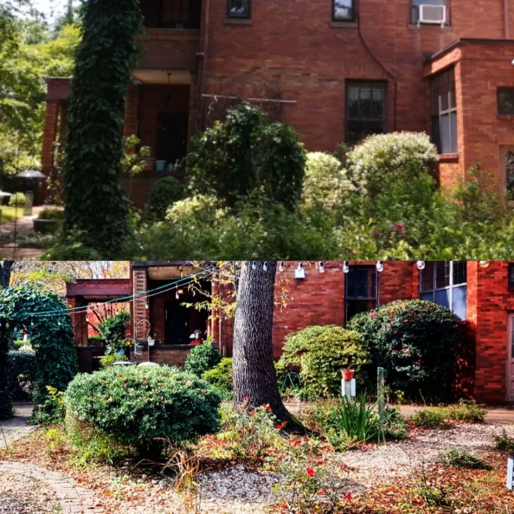 Local yard cleanup service in Newport news, VA by Landscape Evolution