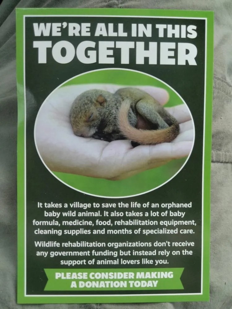 Reliable lawn care service near you across Newport news, VA - Landscape Evolution