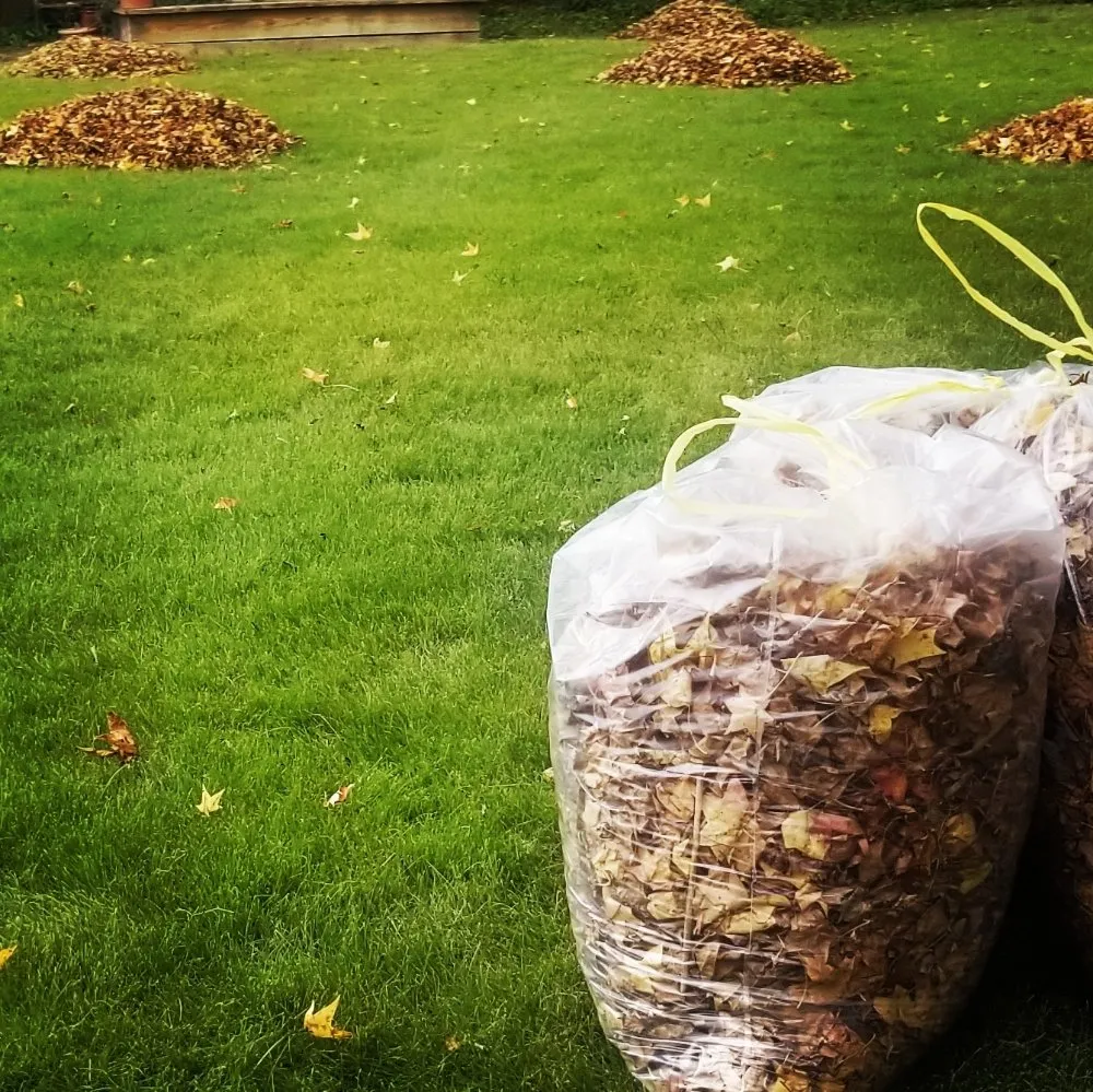 Trusted lawn care service in Newport news, VA - Landscape Evolution