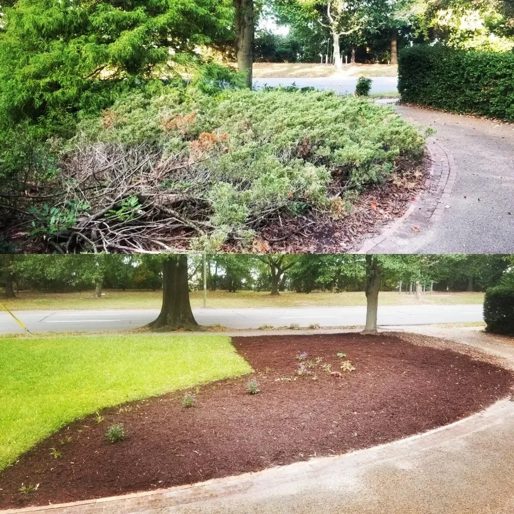 Expert lawn mowing service in Newport news, VA by Landscape Evolution