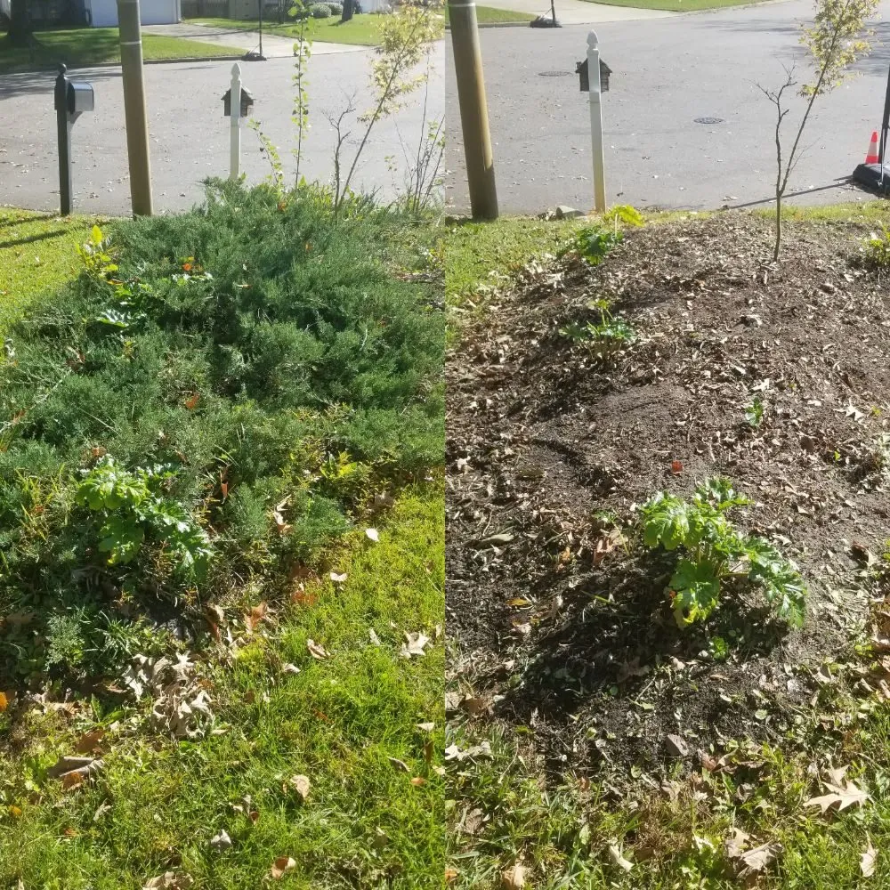 Trusted lawn mowing service in Newport news, VA by Landscape Evolution