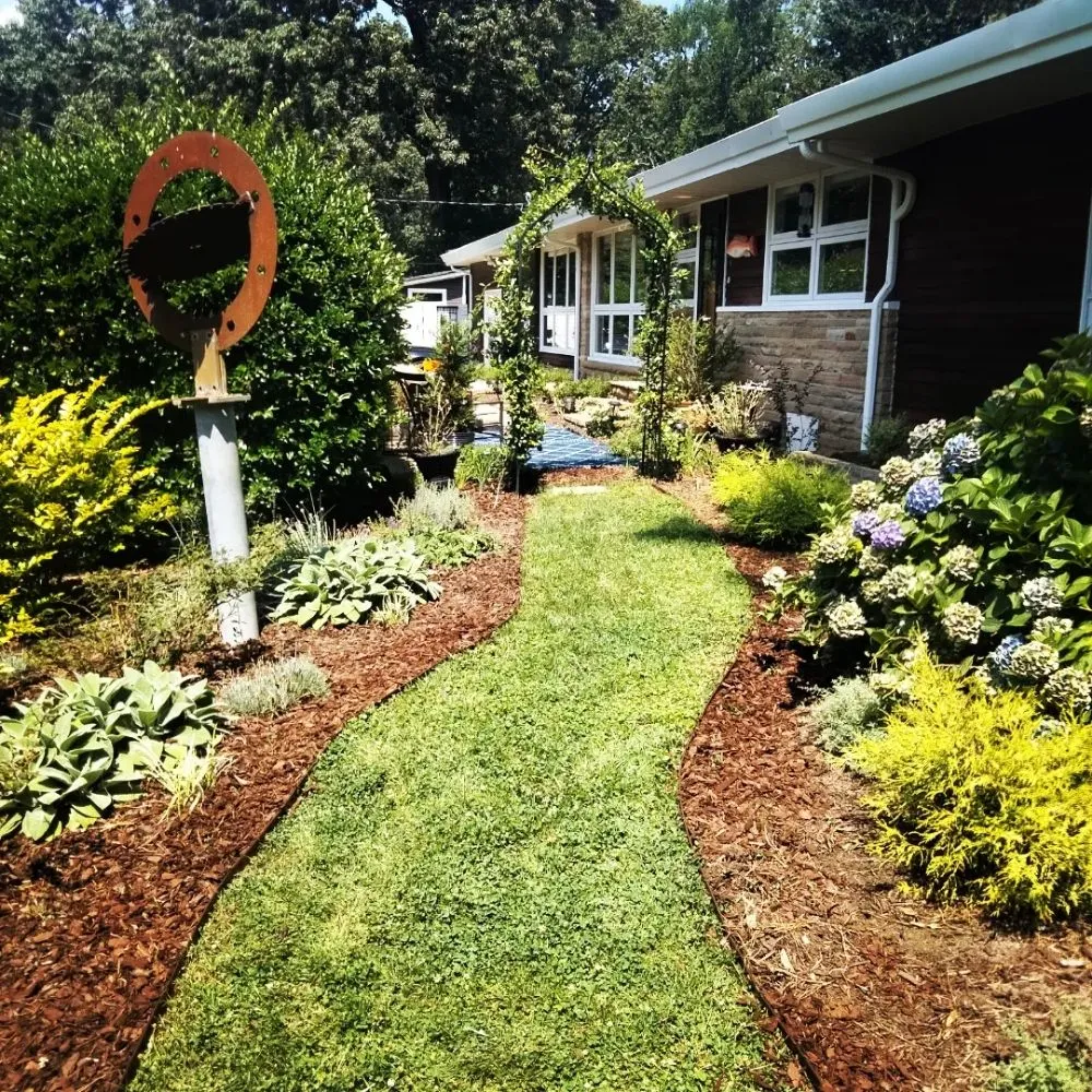 Expert yard cleanup service experts serving Newport news, VA - Landscape Evolution