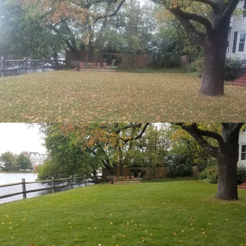 Reliable garden landscaping in Newport news, VA - Landscape Evolution