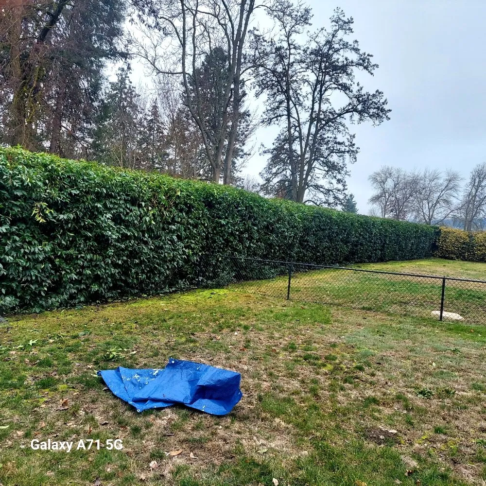 Trusted lawn care service in Medford, OR - Landscape Experience