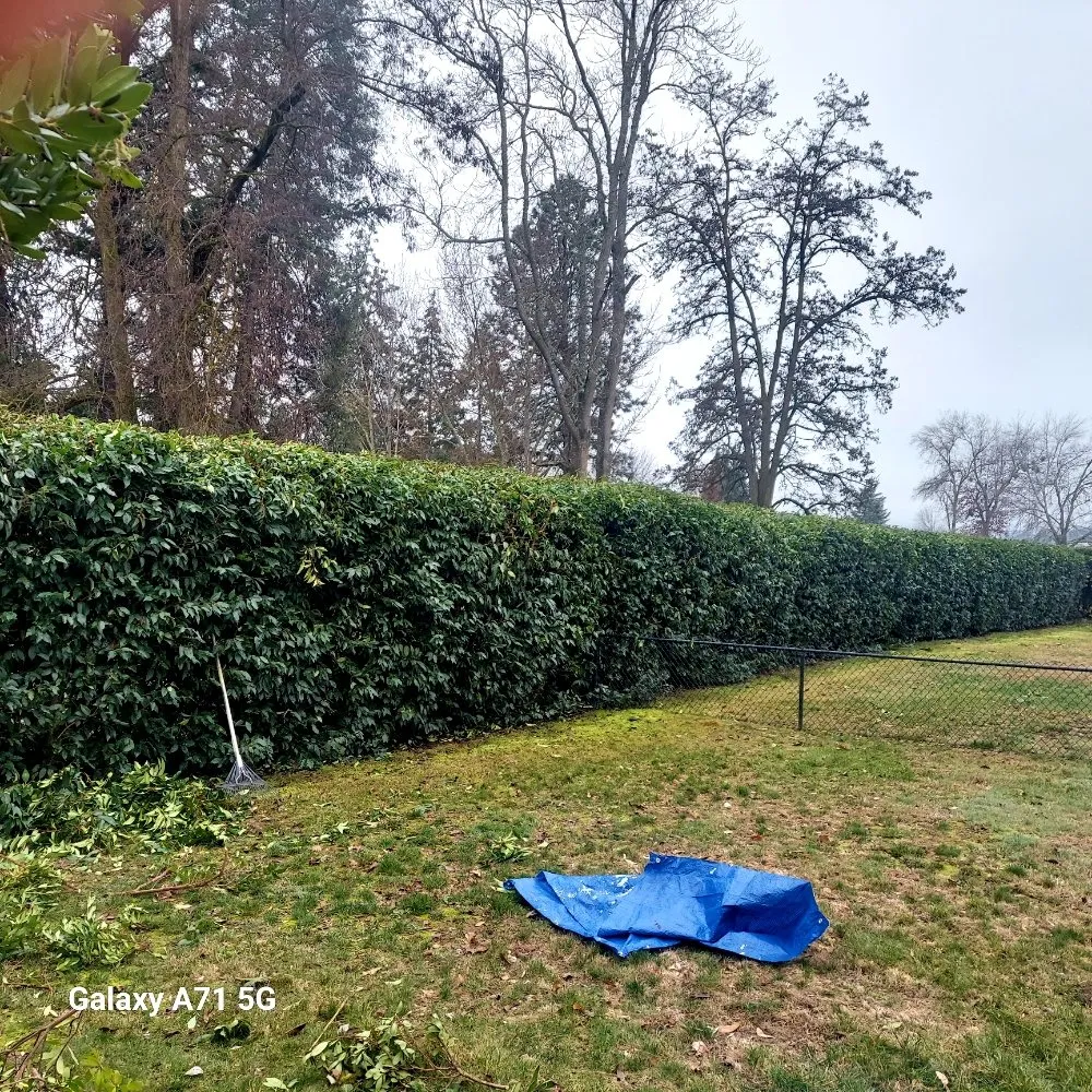 Top-rated lawn care service for year-round maintenance in Medford, OR by Landscape Experience