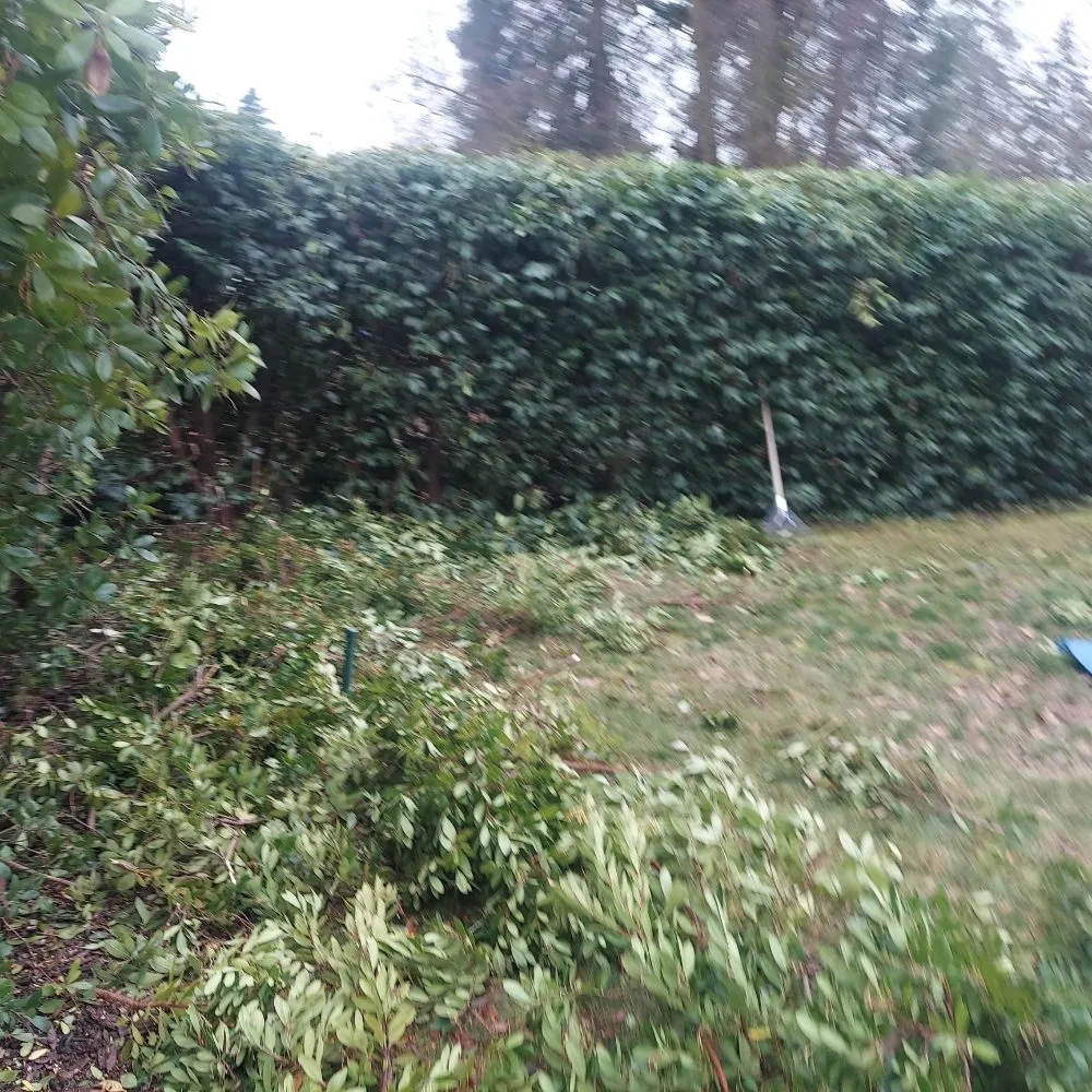 Local lawn care service in Medford, OR by Landscape Experience