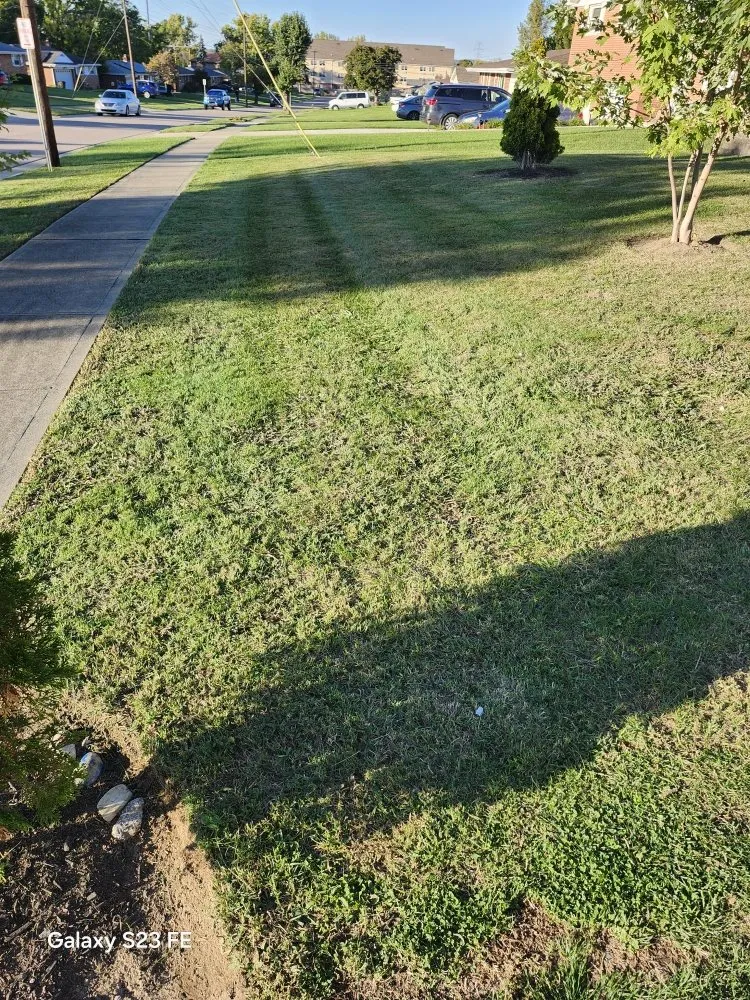 Custom yard maintenance with custom design across Sharonville, OH - Landscape expert