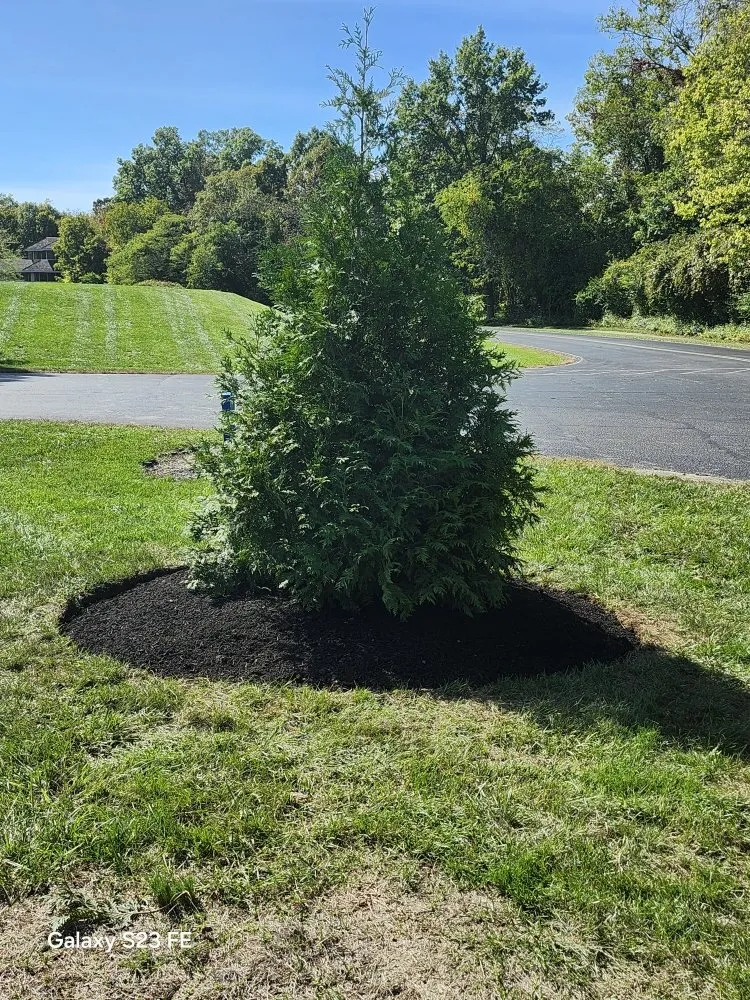 Affordable yard maintenance experts serving Sharonville, OH - Landscape expert